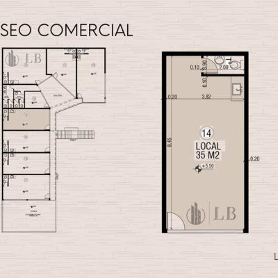 Dino Local 15 Dino Local 15