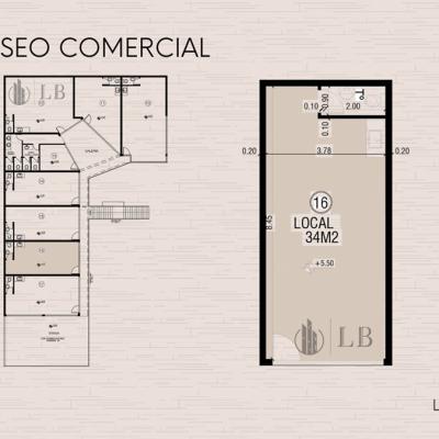 Dino Local 16 Dino Local 16