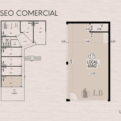 Dino Local 17 Dino Local 17